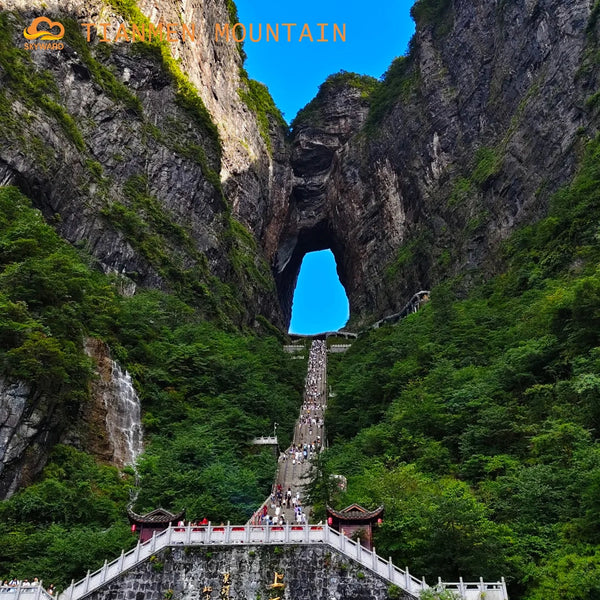 Chongqing · Wulong · Zhangjiajie: The Hidden Realms of Earth and Sky【5-Day/Private Tour/2-12 pax】
