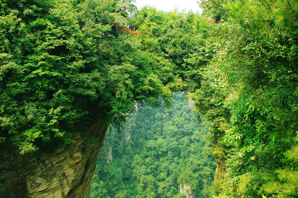 No.1-natural-bridge-in-the-world
