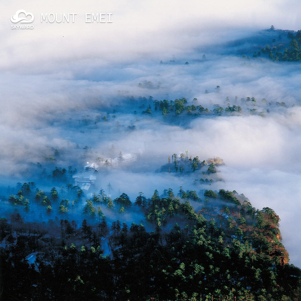 Chongqing · Dazu · Leshan: Buddhist Wonders & Majestic Mountains【5-Day/Private Tour/2–12 pax】