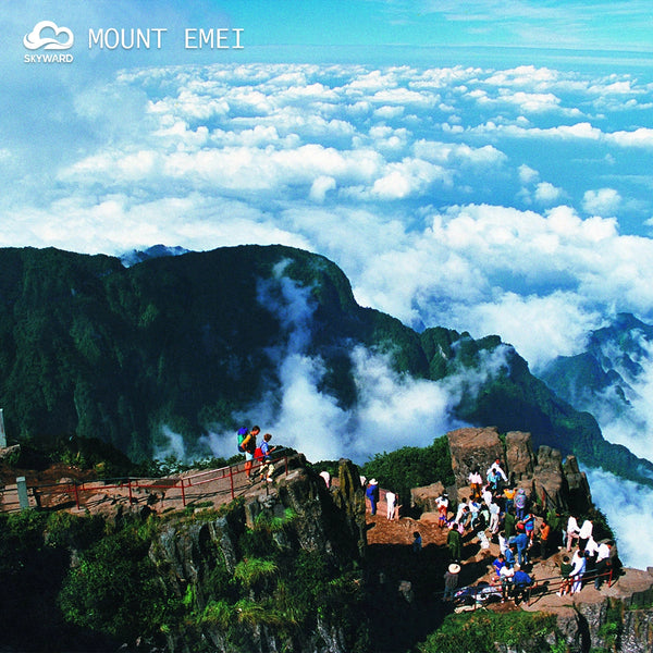 Chongqing · Dazu · Leshan: Buddhist Wonders & Majestic Mountains【5-Day/Private Tour/2–12 pax】