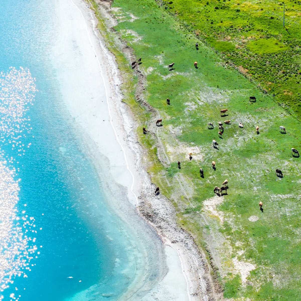 Touching the Clouds：Spiritual Journey to Tibet【7-Day/Shared Group Tour/2-12 pax】
