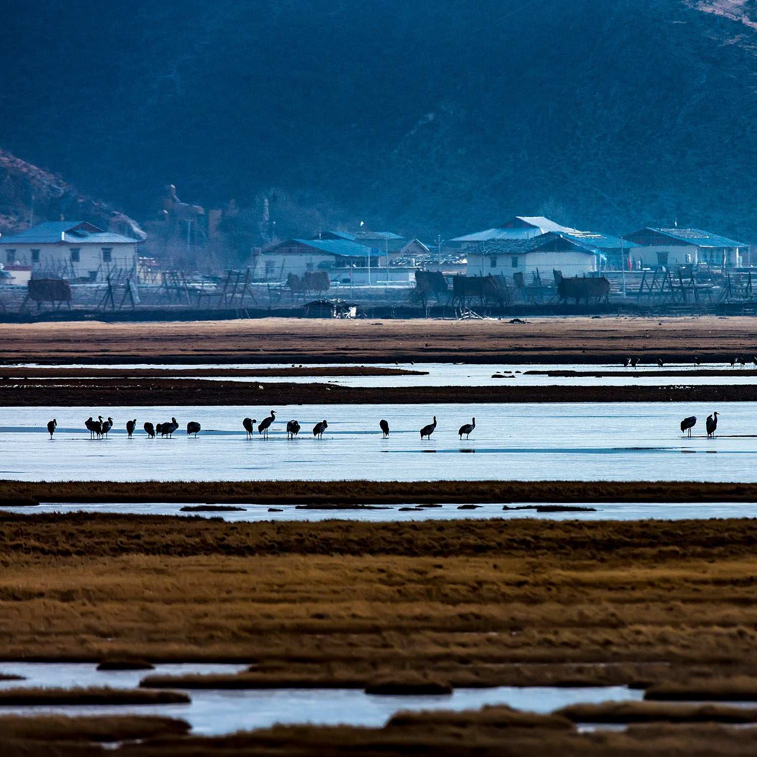 yunnan-napa-lake