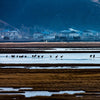 yunnan-napa-lake