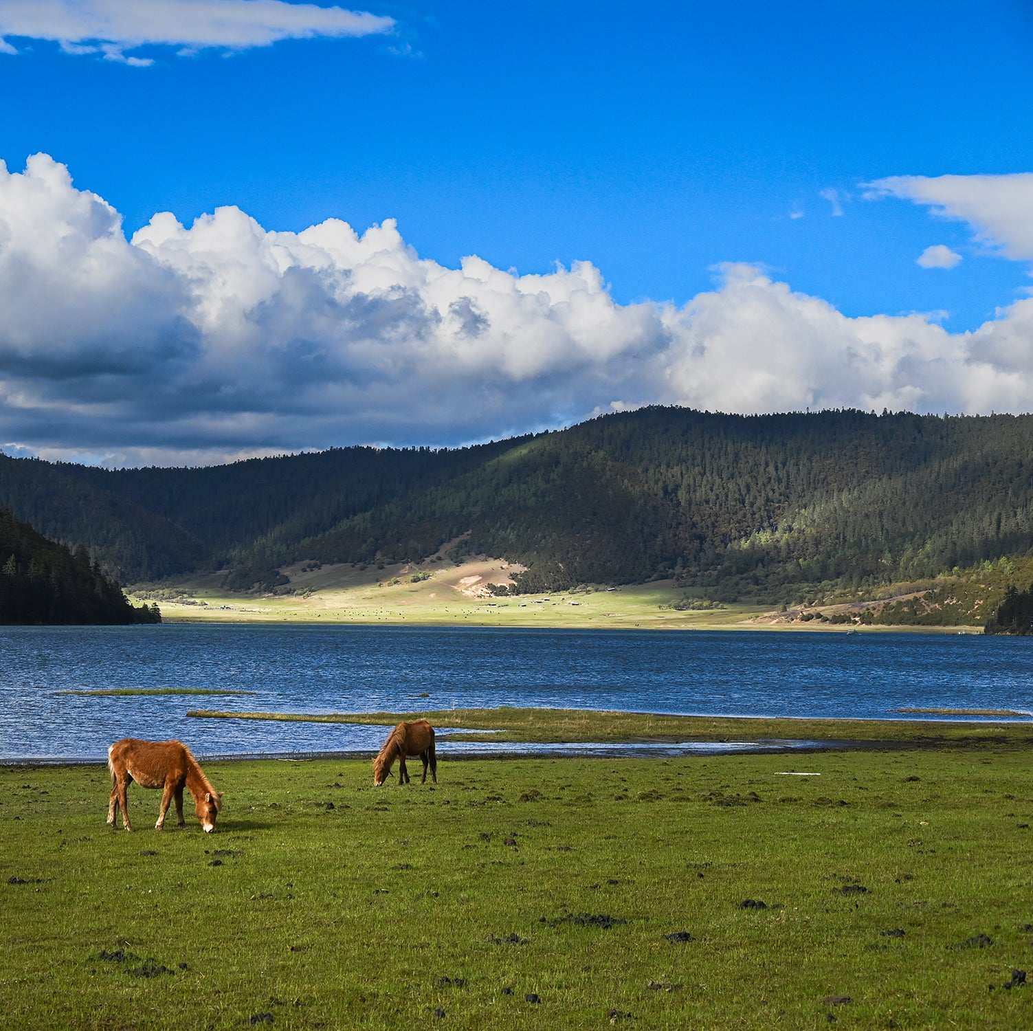 yunnan-pudacuo-national-park