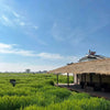 yunnan-xizhou-ancient-town-farm