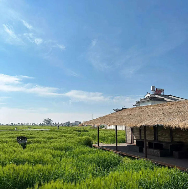 yunnan-xizhou-ancient-town-farm