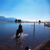 yunnan-yushu-lake-ride-on-horse