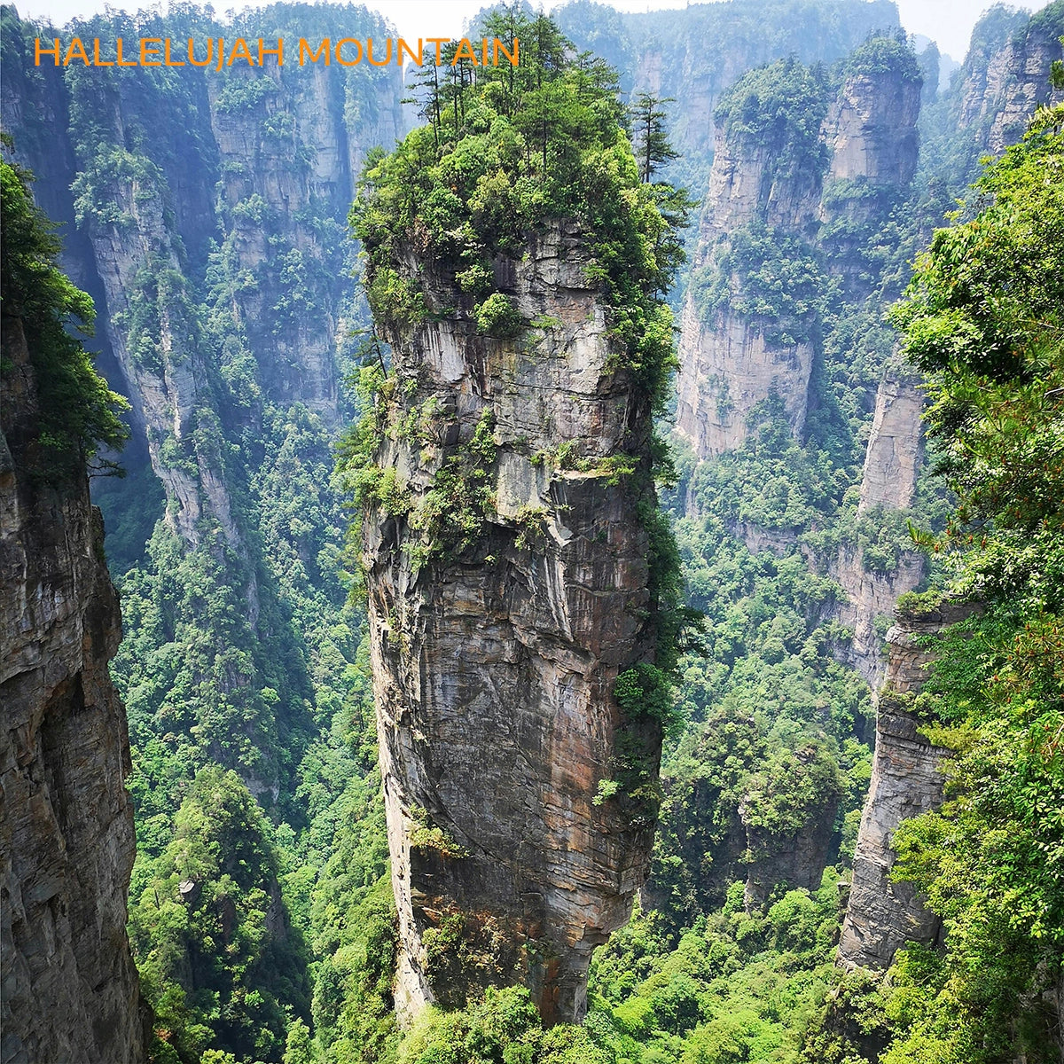 Chongqing · Wulong · Zhangjiajie: The Hidden Realms of Earth and Sky【5-Day/Private Tour/2-12 pax】