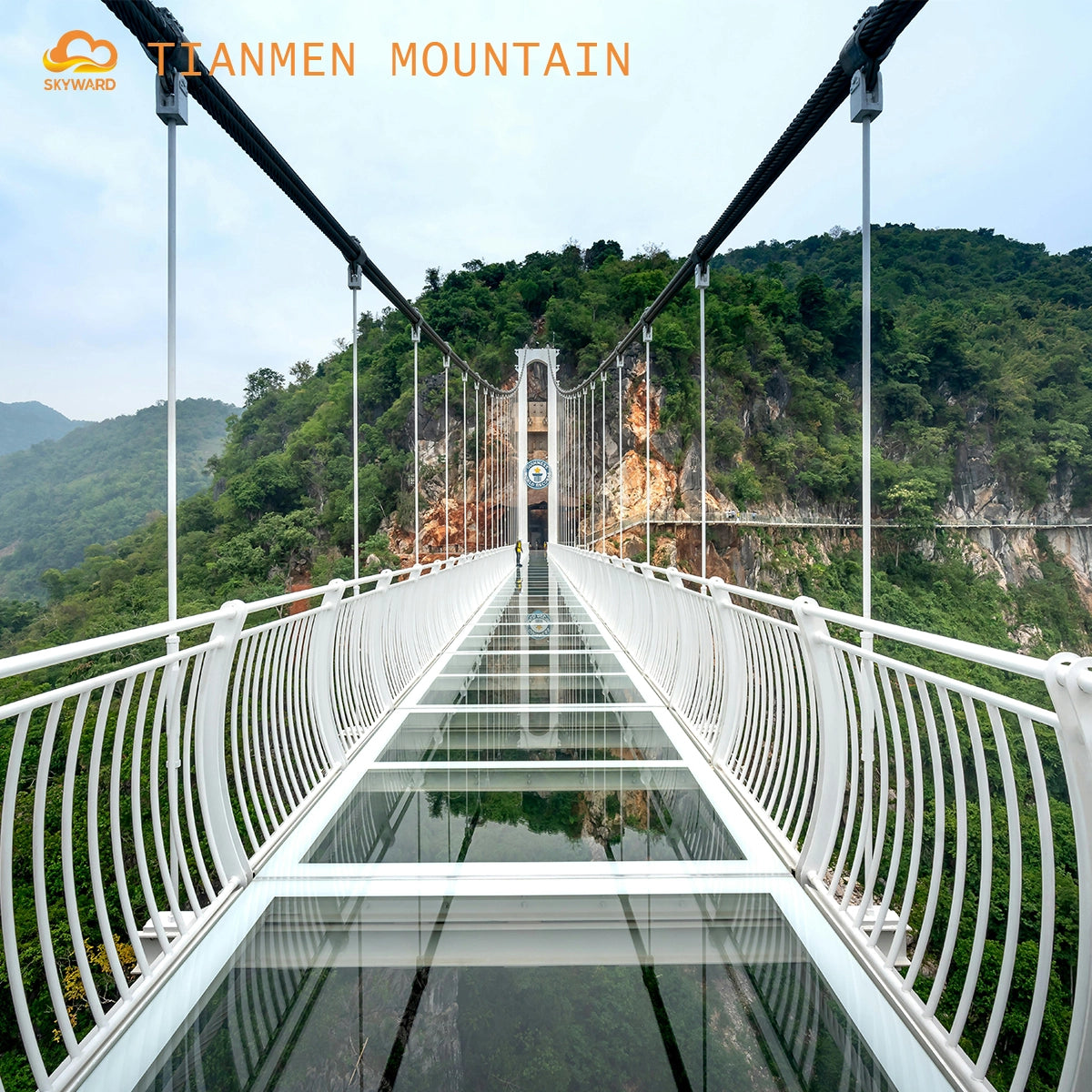 Chongqing · Wulong · Zhangjiajie: The Hidden Realms of Earth and Sky【5-Day/Private Tour/2-12 pax】