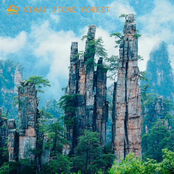 Chongqing · Wulong · Zhangjiajie: The Hidden Realms of Earth and Sky【5-Day/Private Tour/2-12 pax】
