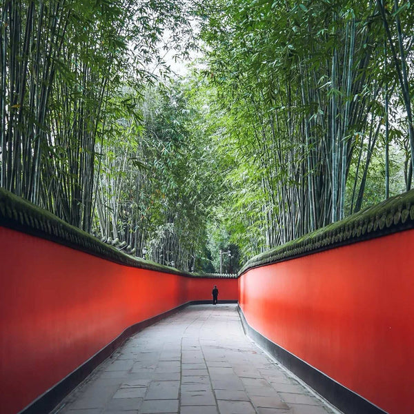 zhuge-liang-memorial-hall-red-wall
